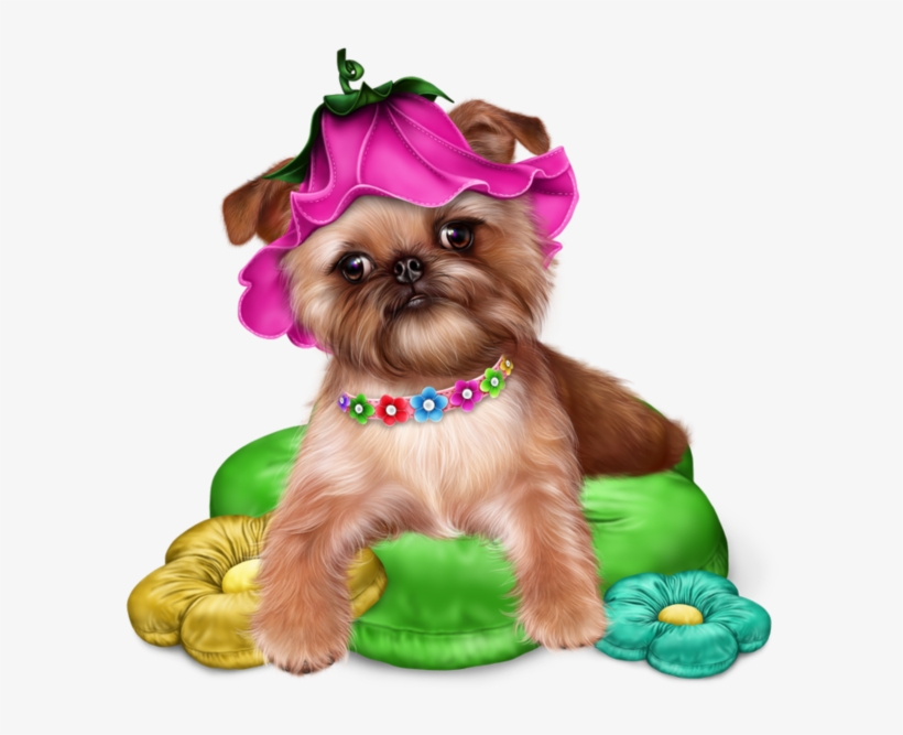 Continental Clip Shih Tzu Poodle Png Free Stock - Clip Art, transparent png download