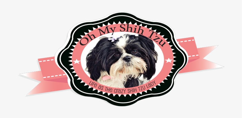 You May Also Like - Chinese Imperial Dog, transparent png download