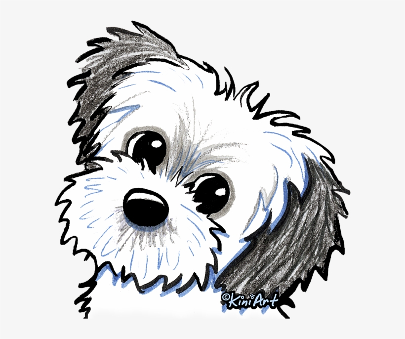 Bleed Area May Not Be Visible - Shih Tzu Sweetie Throw Blanket, transparent png download