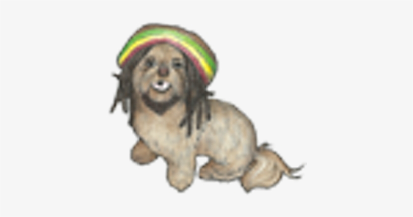Shih Tzu Swag - Toy Poodle, transparent png download