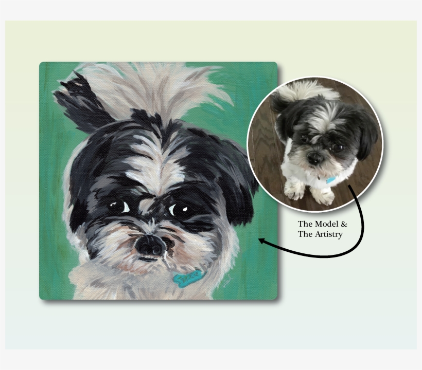 Dexter Maltese Shih Tzu - Art, transparent png download