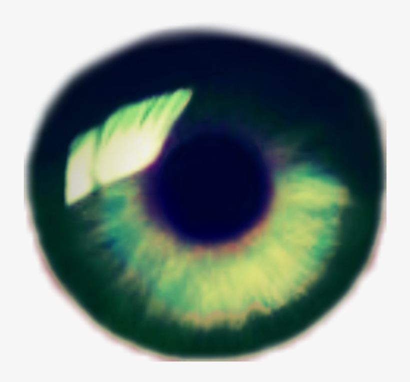 Eye, transparent png download