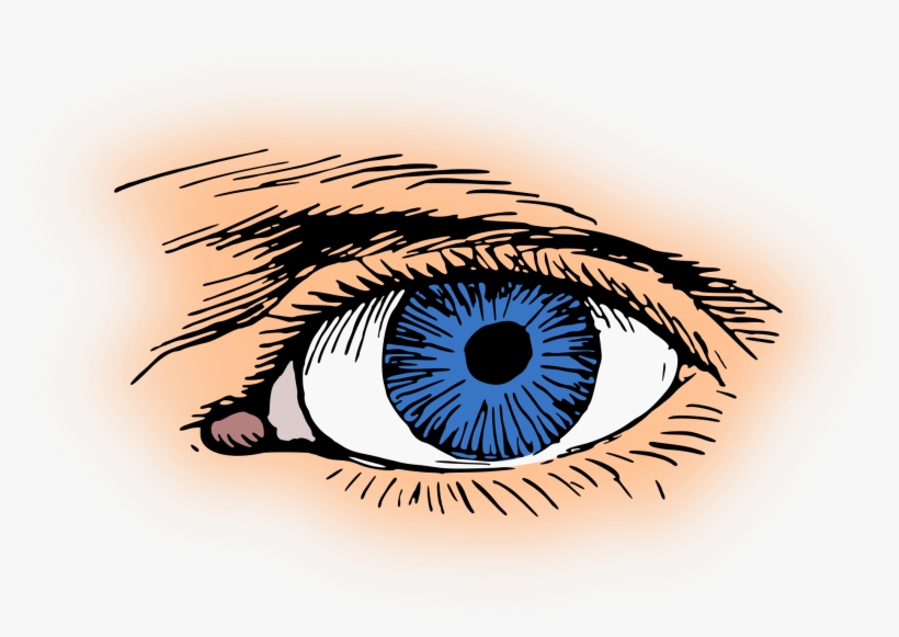 Eye Color Iris Pupil Visual Perception - Clip Art, transparent png download