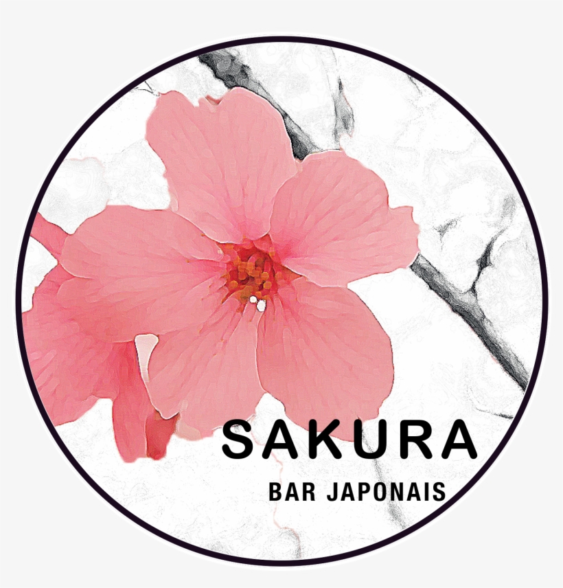 Sakura Sushi Bar, transparent png download