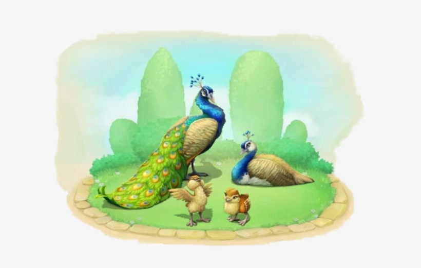 Peacock Family - Township Zoo Musk Ox, transparent png download