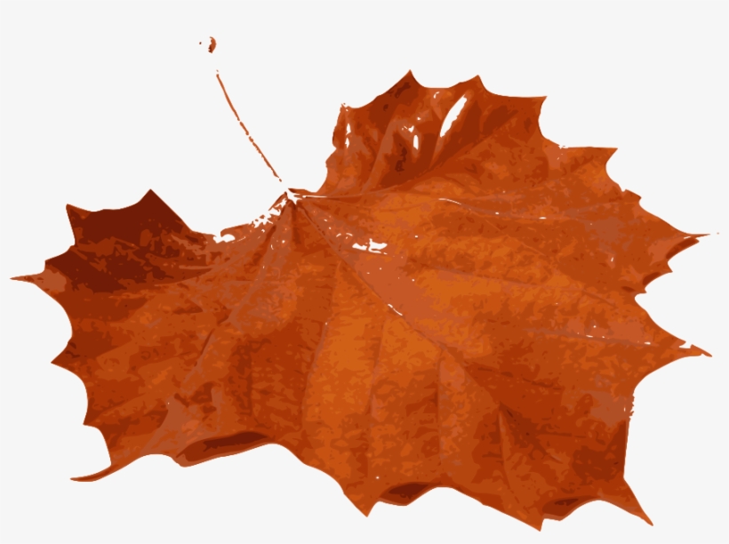 How To Set Use Fall Leafs Clipart, transparent png download