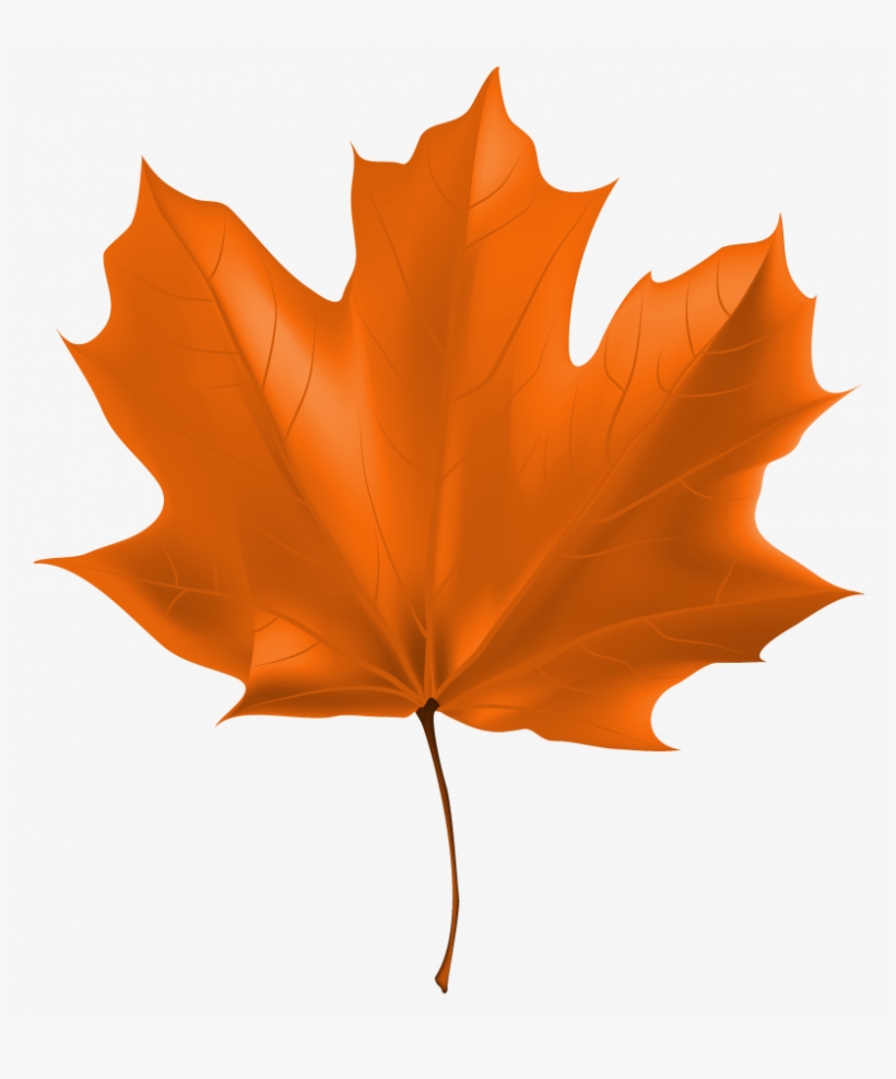 Autumn Leaf Clipart Png, transparent png download