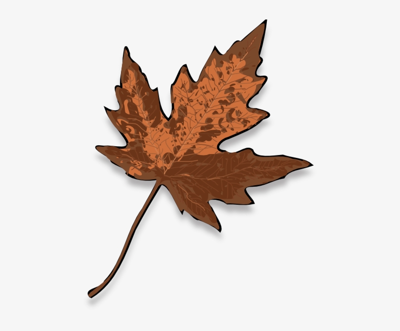 Brown Maple Leaf Svg Clip Arts 486 X 599 Px, transparent png download