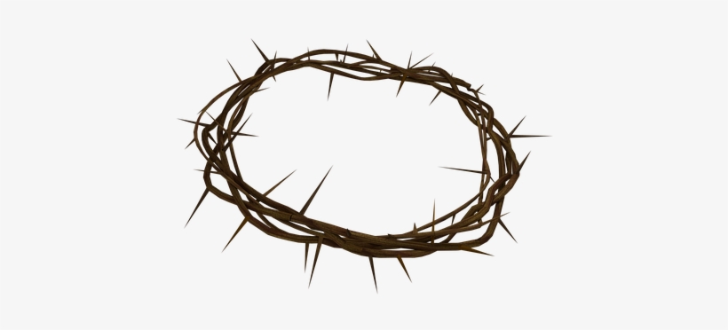 Crown Of Thorns Jesus Christian Coroa De Espinhos Png Transparent Png 453x340 Free Download On Nicepng