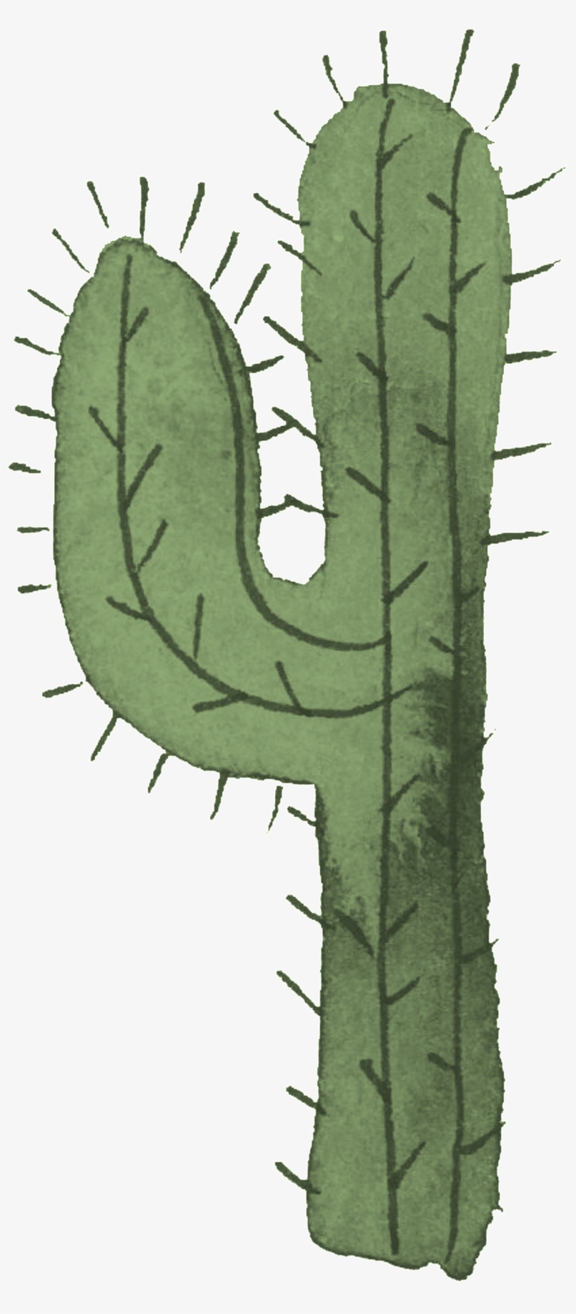 Cartoon Transparent For The Desert Cactus - Cactus, transparent png download