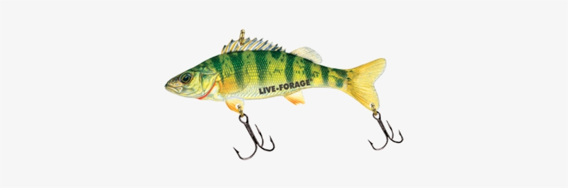 Northland Fish-fry Minnow Trap - Northland Tackle Fish Fry Minnow Trap, 1/4 Oz, transparent png download