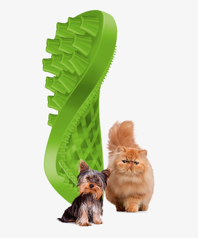 Green Brush With Animals - Petlife Pet+me Grooming Brush For Cats - Ideas 4 Pets, transparent png download