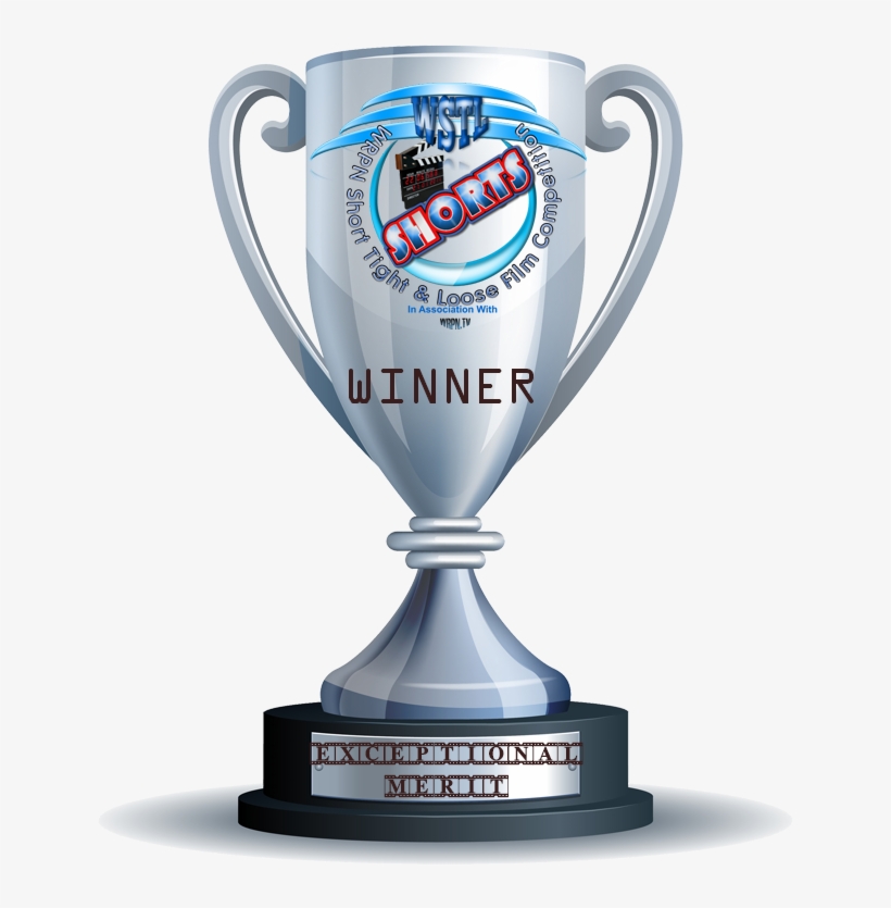Exceptional Merit - Gold Silver Bronze Trophy, transparent png download