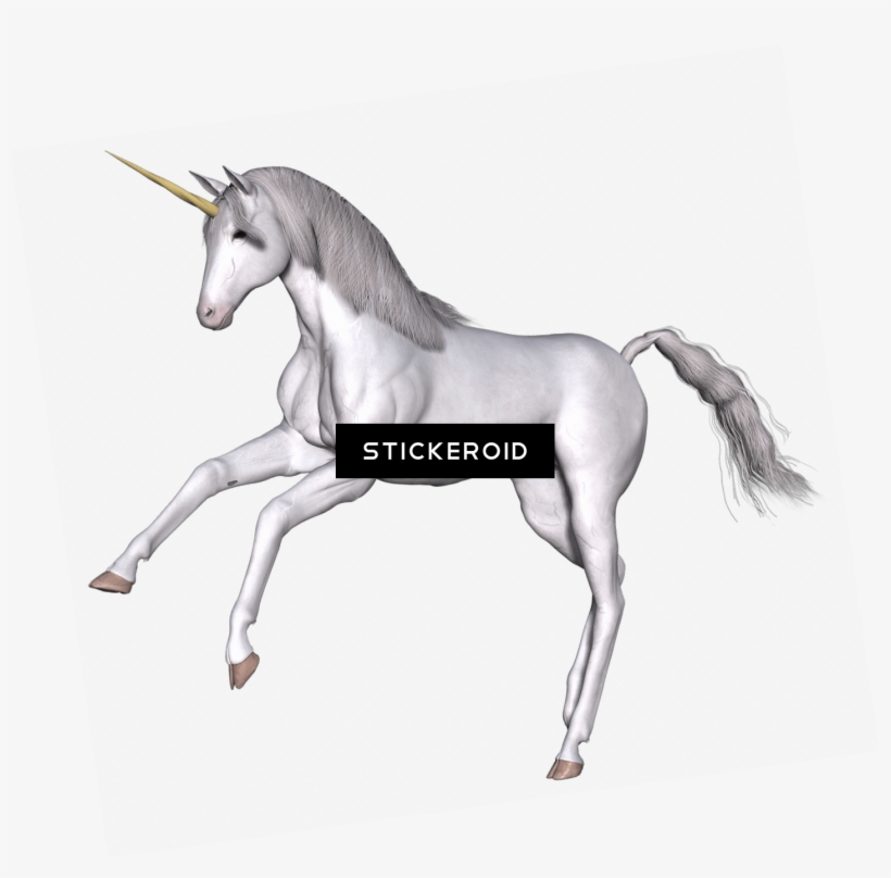 Full White Unicorn Front Legs Up - Unicorn, transparent png download
