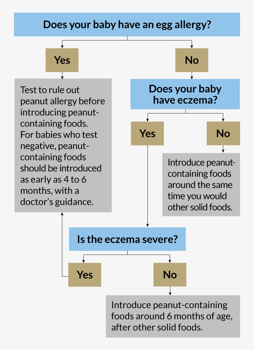 The - Peanut Allergy Guidelines, transparent png download