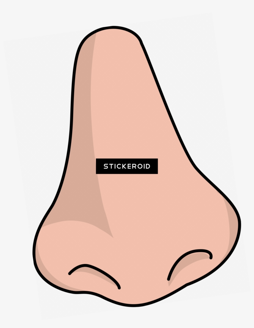 Human Nose, transparent png download