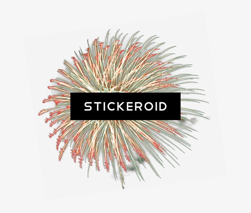 Blue Fireworks - Portable Network Graphics, transparent png download