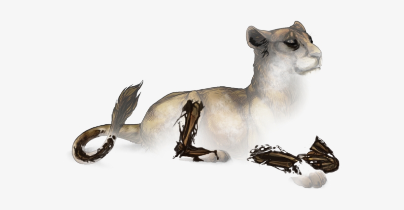 Deer, transparent png download