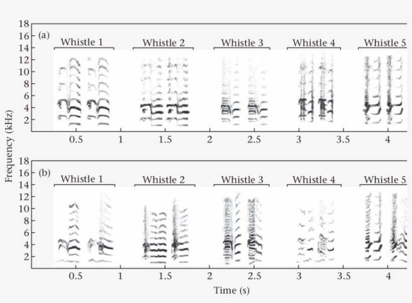 We Entered Arrival Into The Model Because It Is Known - Document, transparent png download