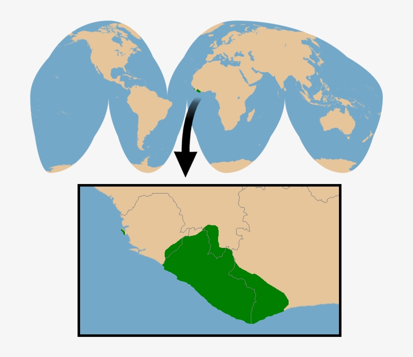 Conservation Status - World Map White Red, transparent png download