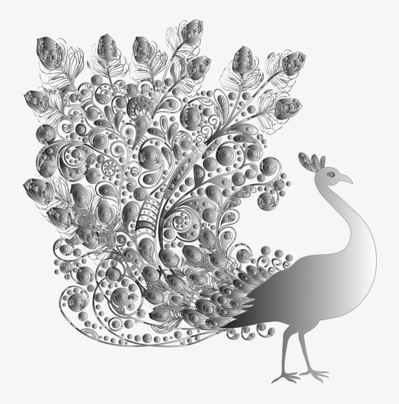 Peafowl /m/02csf Landfowl Drawing Feather - Indian Peafowl, transparent png download