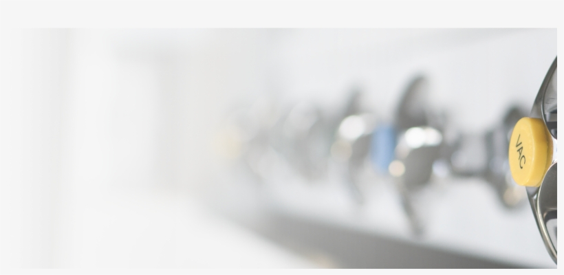 Gradient Background Flipped - Macro Photography, transparent png download