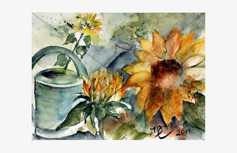 Postcard Ossenberg - Chrysanths, transparent png download