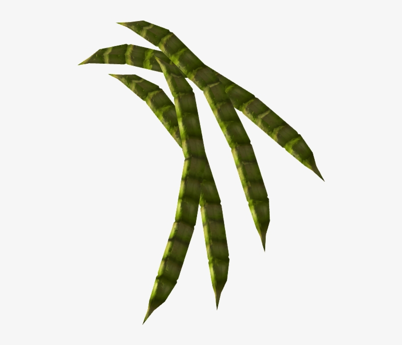 Honey Mesquite Pod - Mesquite Pod, transparent png download