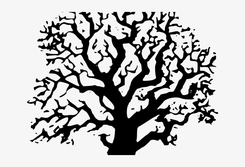Tree Clipart Clipart Tree Drawing - Black And White Tree Clipart, transparent png download