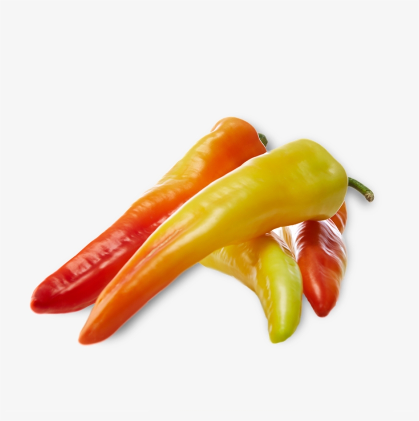 Terry Berke Ph D Seminis Tomato - Bird's Eye Chili, transparent png download