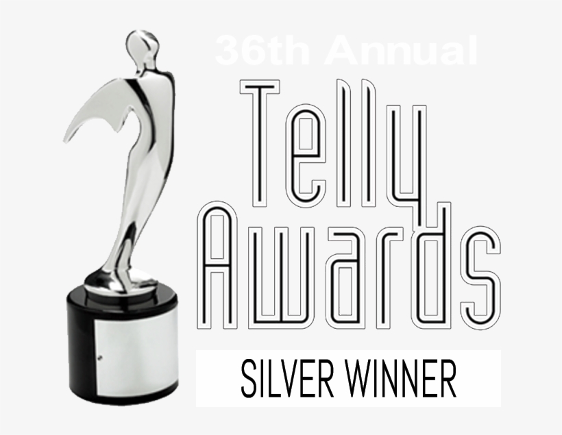 Telly Silver Video Production Busyboycoadmin 2018 02 - Telly Awards Png, transparent png download