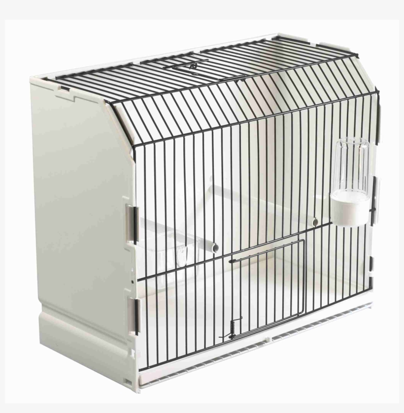 14721 - Cage D Exposition Pour Oiseaux, transparent png download