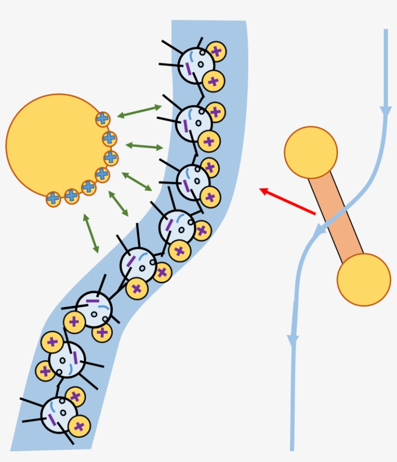 The Charge Is Created By Rubbing The Rod On A Woollen - Wool, transparent png download