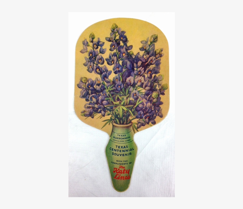 Back - Bluebonnet, transparent png download