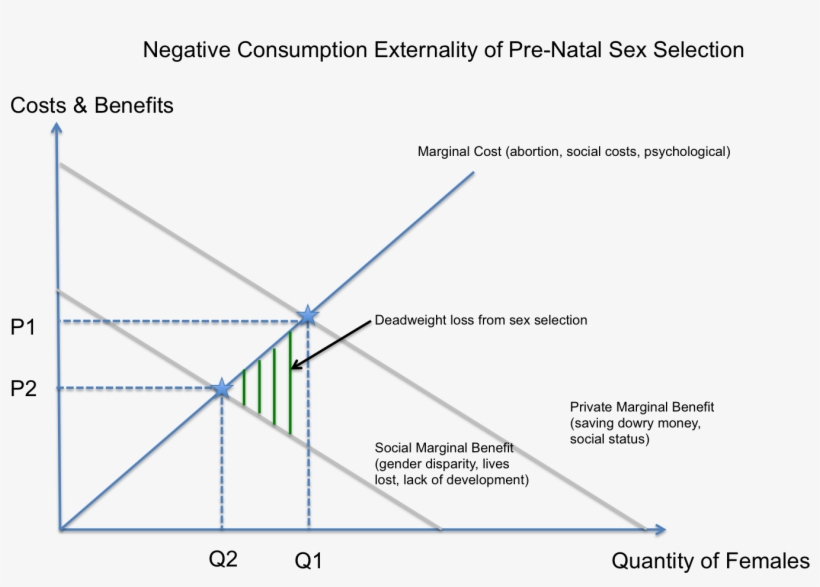 Negative Consumption Externality Of Female Foeticide - Female Foeticide In India, transparent png download