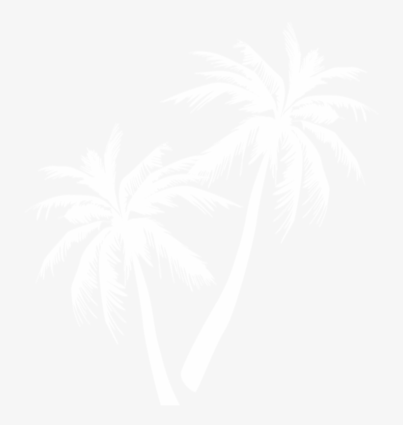 Palm Tree - 100 Énigmes De Plage - Livre, transparent png download