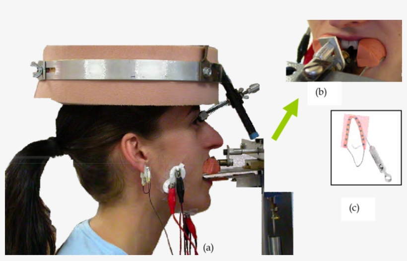 Semg Recorded Bilaterally From The Masseter And The - Technician, transparent png download