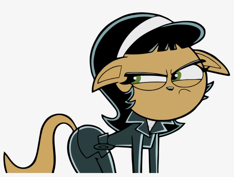 Cat, transparent png download