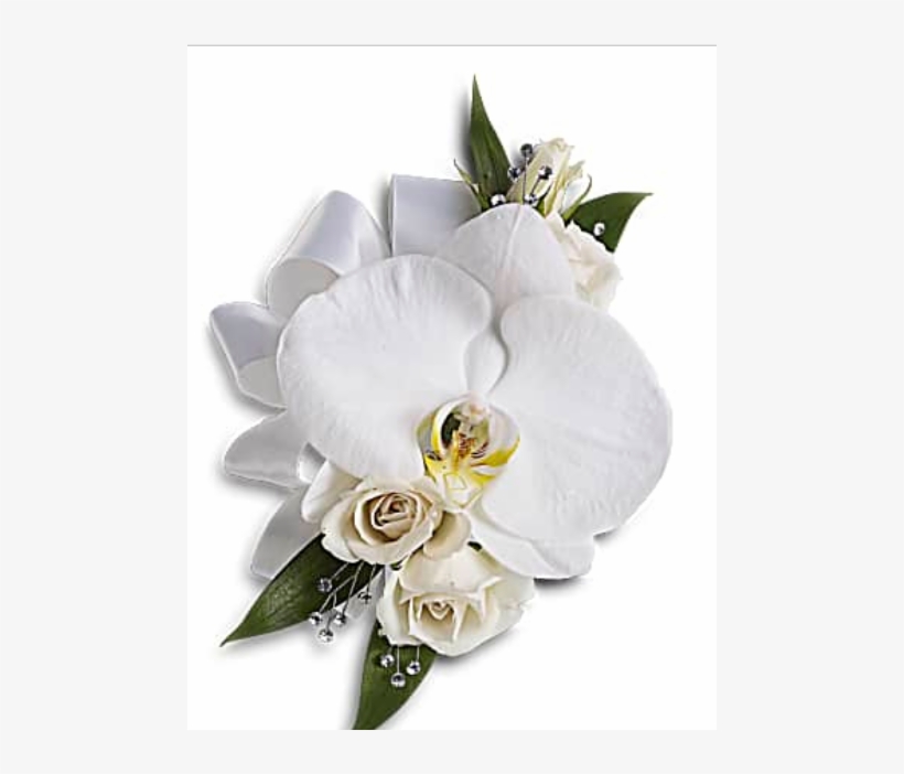 More Views, transparent png download