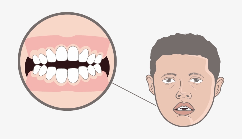 Asset 19 - Asset, transparent png download