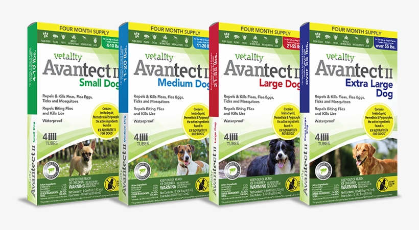 Vetality Advantect Ii - Tevra Brands Llc Vetality Advantect Ii For Dogs-4-10lbs, transparent png download