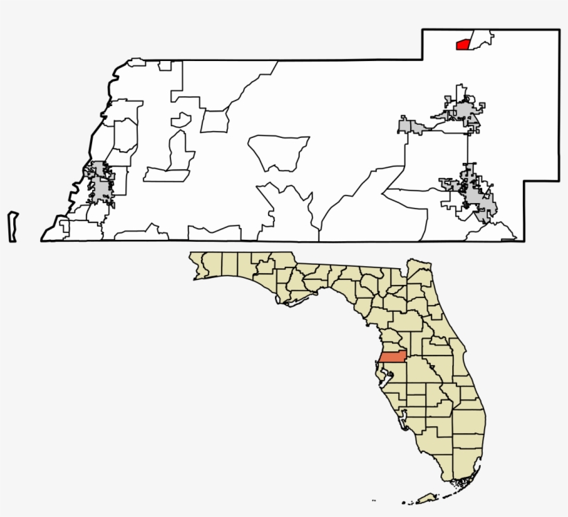 Pasco County Florida Incorporated And Unincorporated - County Florida, transparent png download