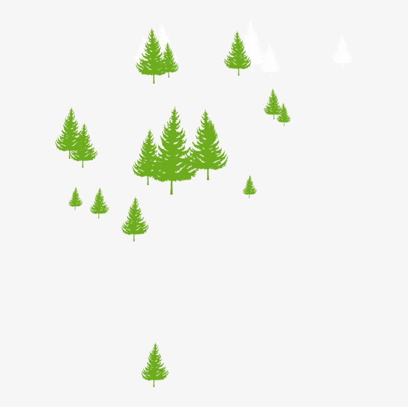 Homepage-trees - Christmas Tree, transparent png download