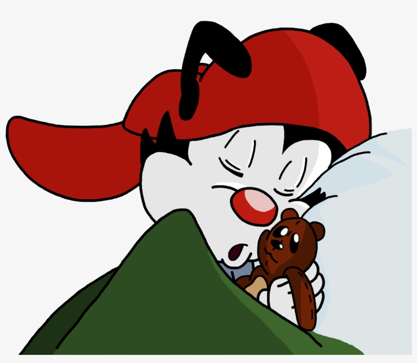 Animaniacs Sleepy Wakko - Wakko Sleepy, transparent png download