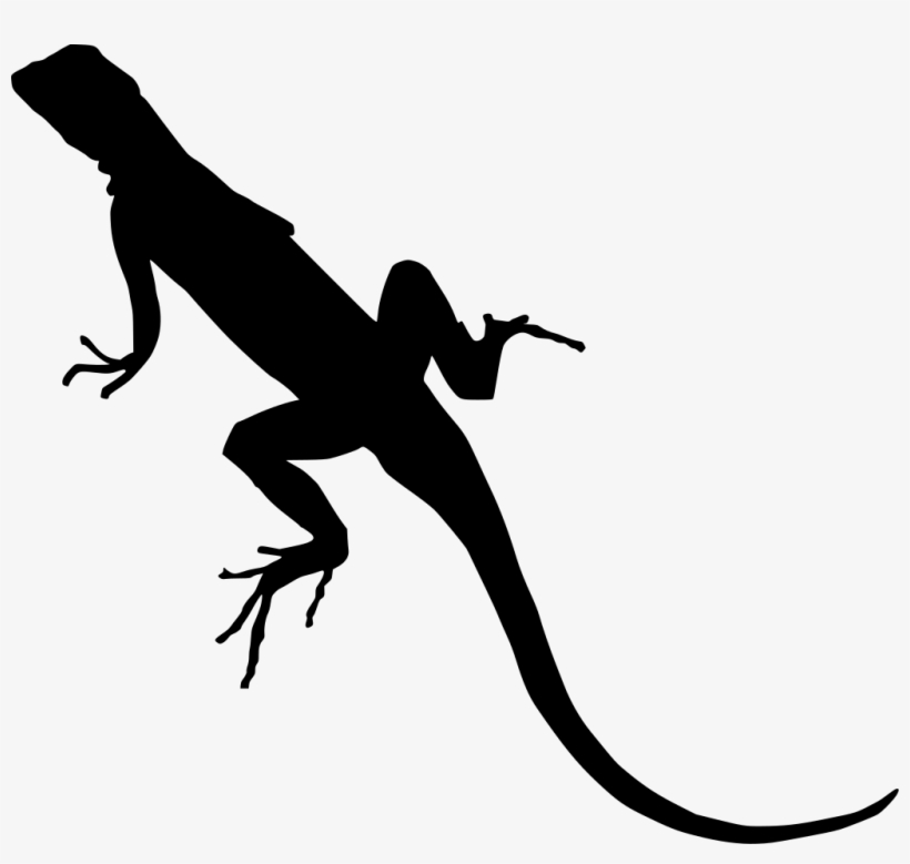 Download Png - Lizard Clipart Transparent Background, transparent png download