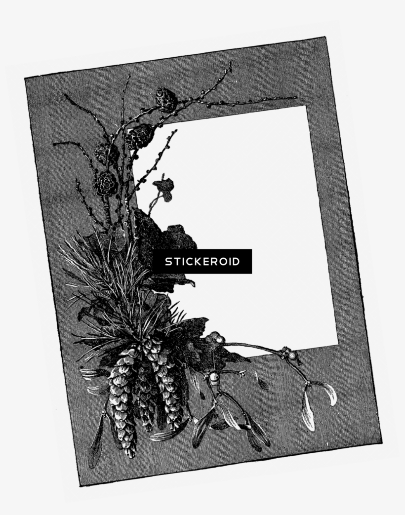 Pink Flower Frame Border Frames - Portable Network Graphics, transparent png download