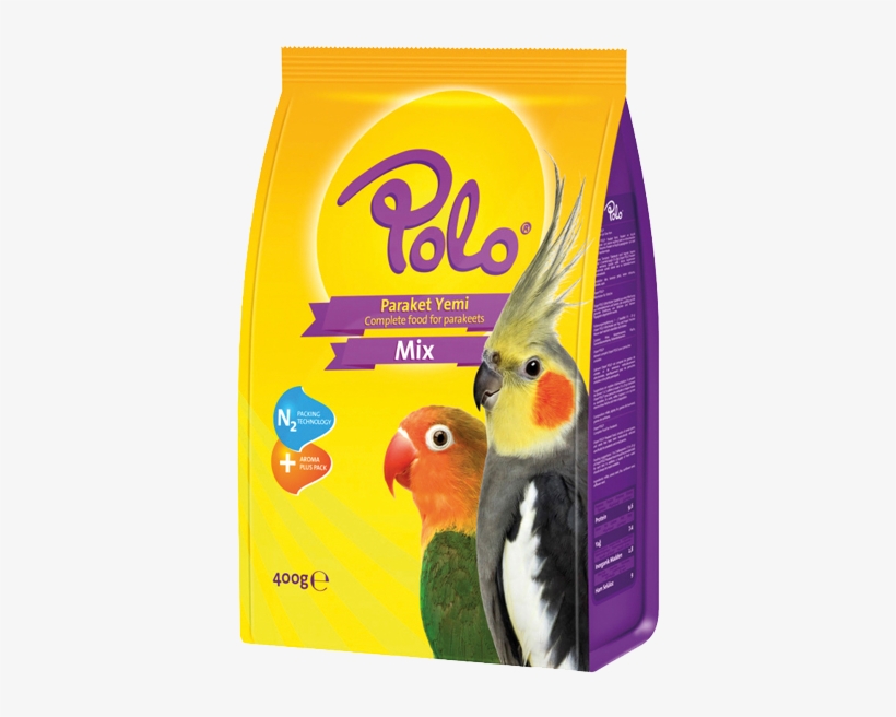 Cockatiel Png, transparent png download
