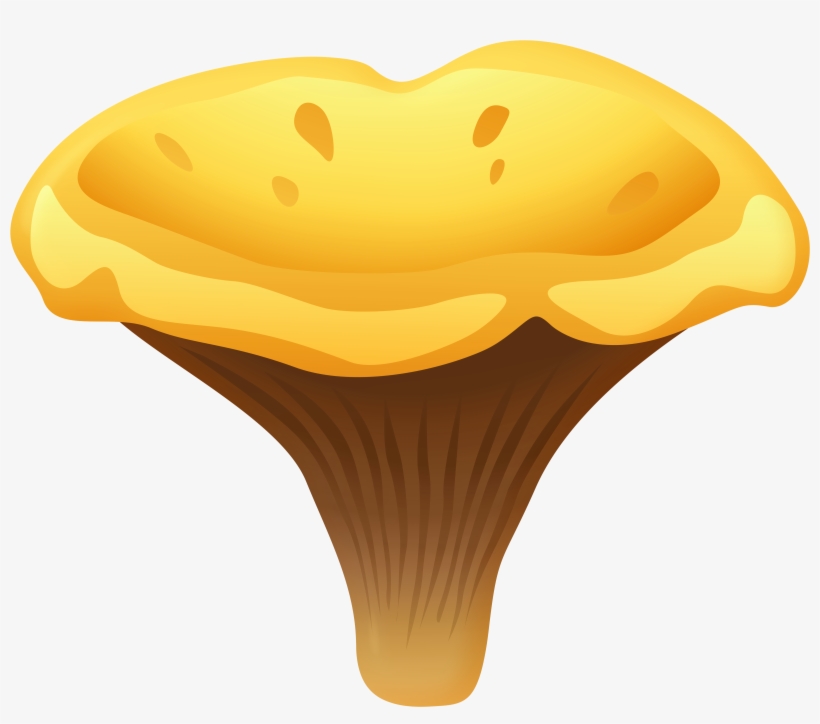 Yelow Chanterelle Mushroom Png Clipart - Chanterelle Clipart, transparent png download