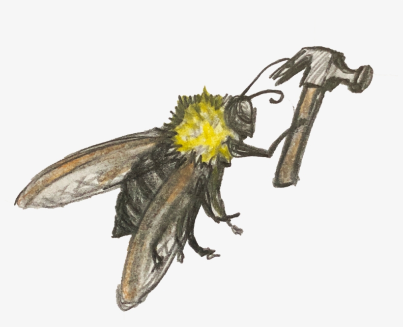 Carpenter Bee, transparent png download