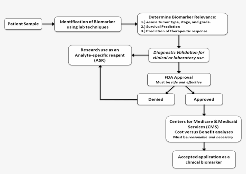 J Cancer Image - Journal Of Cancer, transparent png download